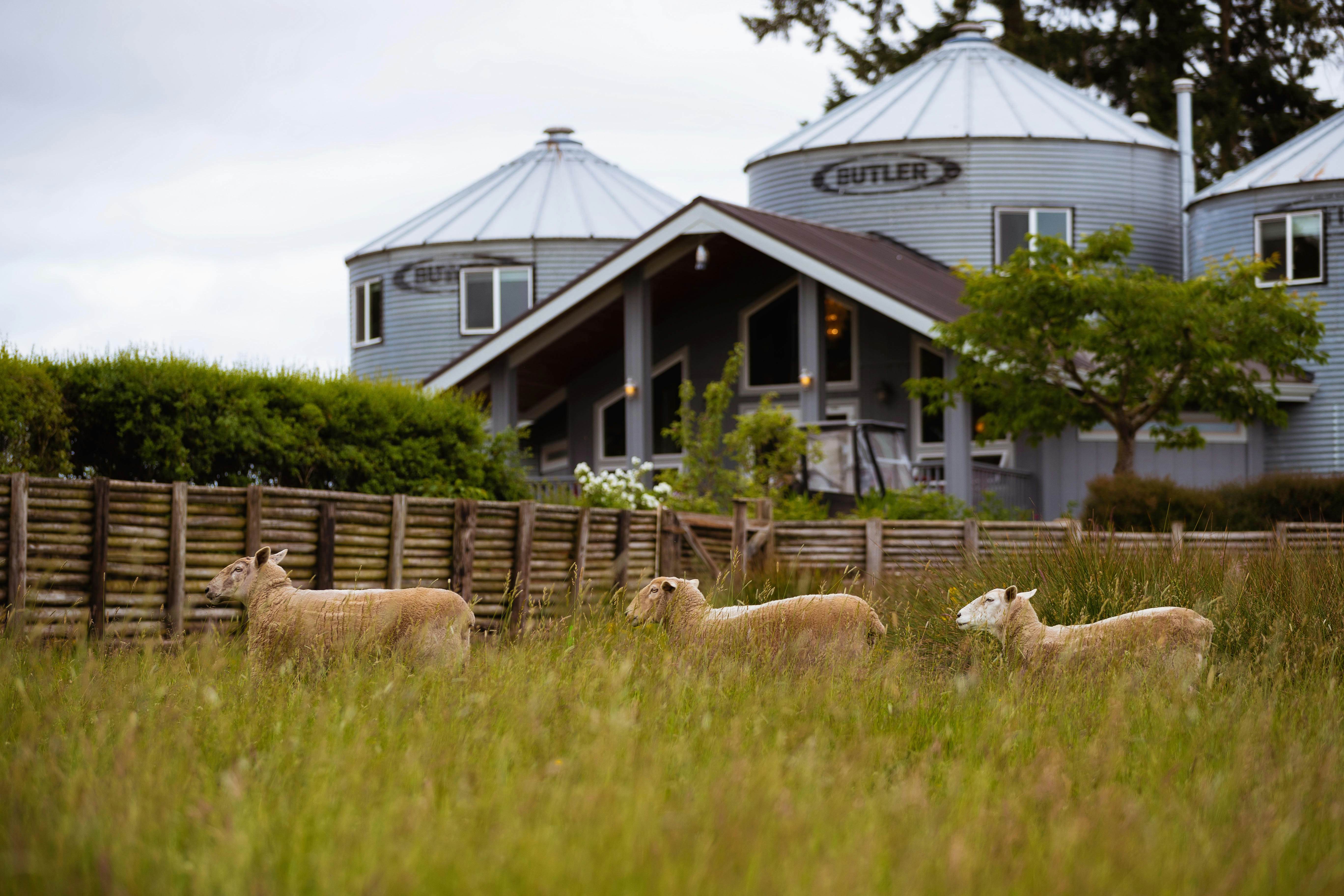 10 Top Farm Stay Vacations In The US - Lonely Planet